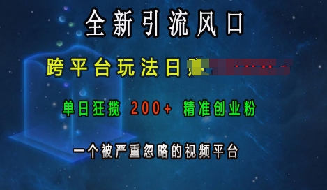 全新引流风口，跨平台玩法日入上k，单日狂揽200+精准创业粉，一个被严重忽略的视频平台-小何资源库