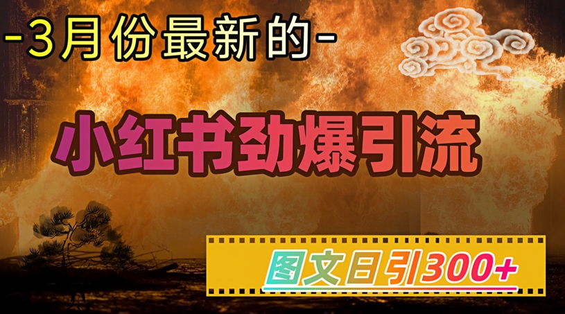 小红书超劲爆引流手段，图文日引300+轻松变现1W-小何资源库