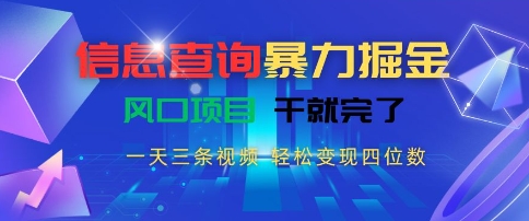 信息查询暴力掘金，一天三条视频，轻松变现四位数，风口项目干就完了【揭秘】-小何资源库
