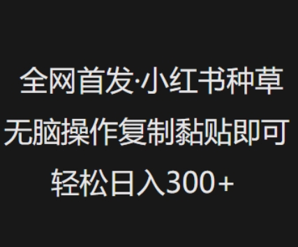 全网首发，小红书种草无脑操作，复制黏贴即可，轻松日入3张-小何资源库