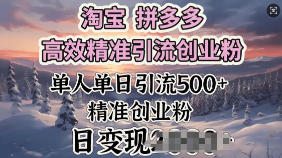 淘宝拼多多高效精准引流创业粉，单人单日引流500+创业粉，日变现多张-小何资源库