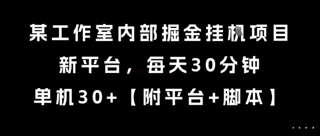 某工作室内部掘金挂G项目，新平台，每天30分钟，单机30+【揭秘】-小何资源库