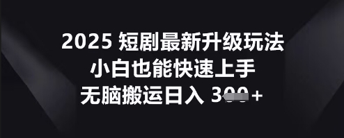 2025短剧最新升级玩法，小白也能快速上手，无脑搬运日入3张-小何资源库