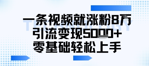 一条视频就涨粉8W引流变现5k+，0基础项目轻松上手-小何资源库