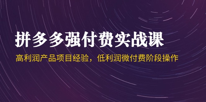 （14874期）拼多多强付费实战课-44期，高利润产品项目经验，低利润微付费阶段操作-小何资源库