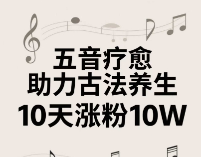 古法五音养生教程，五音疗愈的视频的制作方法，2-4小时就能学会，作者10天涨粉10W-小何资源库