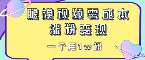 腿模视频，零成本涨粉变现，一个月1w粉-小何资源库