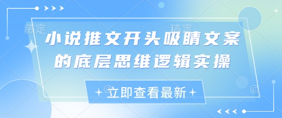 小说推文开头吸睛文案的底层思维逻辑实操-小何资源库