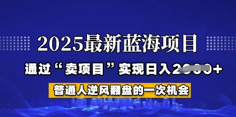 2025年首次揭秘如何通过“网创项目”日入多张【揭秘】-小何资源库