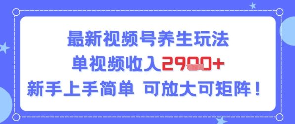 视频号养生玩法，单视频收入2.9k，新手上手简单-小何资源库