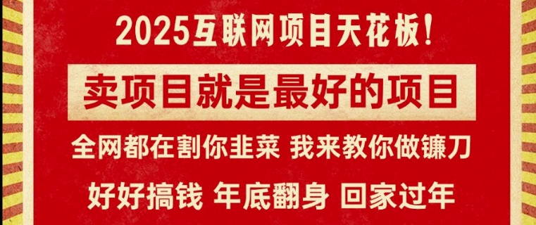 卖项目就是最好的项目，2025年互联网项目天花板-小何资源库