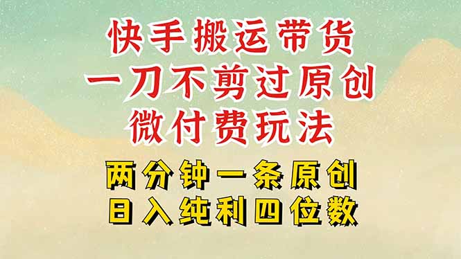 （15577期）快手黑科技搬运带货，一刀不剪过原创，微付费投流玩法，轻松日入四位数…-小何资源库