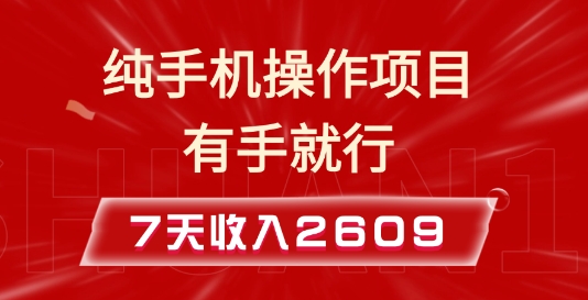 纯手机操作的小项目，有手就能做，7天收入2609+实操教程【揭秘】-小何资源库