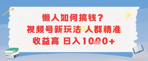 懒人如何搞钱？视频号新玩法，人群精准收益高，日入多张-小何资源库