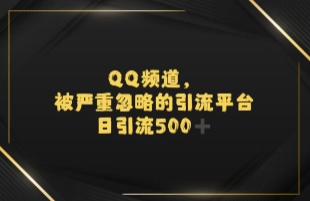 引流蓝海QQ频道，日引500+创业粉-小何资源库