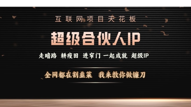 互联网项目天花板，超级合伙人IP，全网都在割韭菜，我来教你做镰刀【仅揭秘】-小何资源库