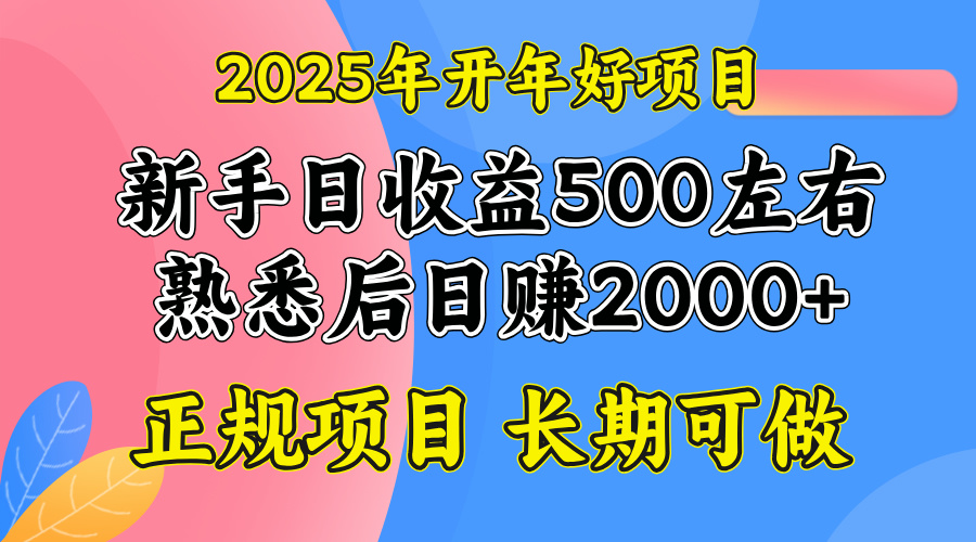 （14076期）2025开年好项目，单号日收益2000左右-小何资源库