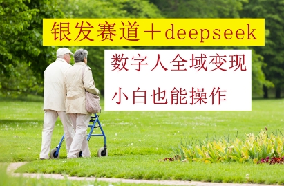 银发赛道+deepseek数字人全域变现，小白也能操作-小何资源库