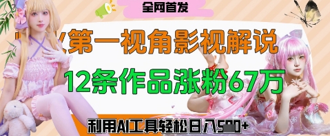 爆火第一人称视角影视解说，12条作品涨粉67W，巧用AI工具，轻松日入几张-小何资源库
