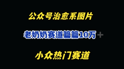 公众号老奶奶治愈系流量主，篇篇10W+-小何资源库