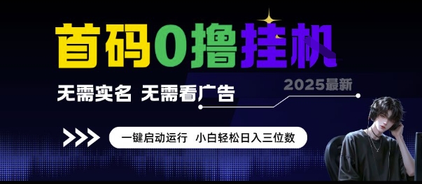 首码0撸挂G项目，无需实名无需看广告 一键启动运行，小白轻松日入三位数【揭秘】-小何资源库