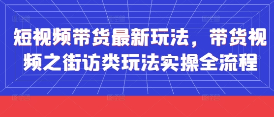 短视频带货最新玩法，带货视频之街访类玩法实操全流程-小何资源库