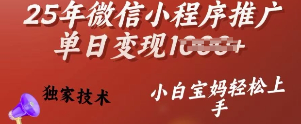 25年微信小程序推广单日变现多张，独家技术，小白宝妈轻松上手【揭秘】-小何资源库