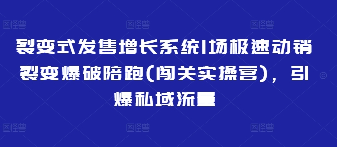 裂变式发售增长系统1场极速动销裂变爆破陪跑(闯关实操营)，引爆私域流量-小何资源库