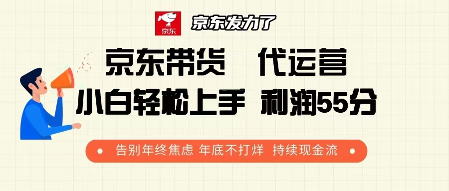（13833期）京东带货 代运营 利润55分 告别年终焦虑 年底不打烊 持续现金流-小何资源库