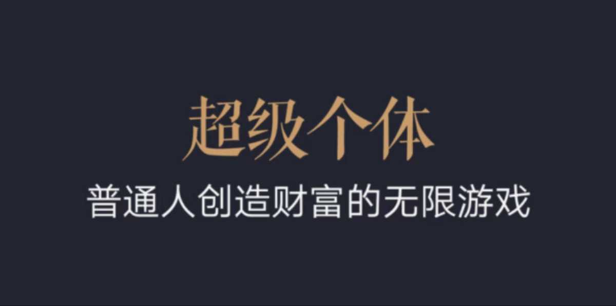超级个体：2024-2025翻盘指南，普通人创造财富的无限游戏-小何资源库
