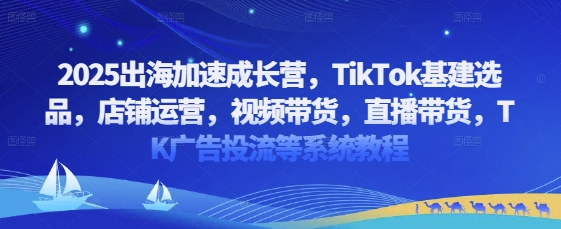 2025出海加速成长营，TikTok基建选品，店铺运营，视频带货，直播带货，TK广告投流等系统教程-小何资源库