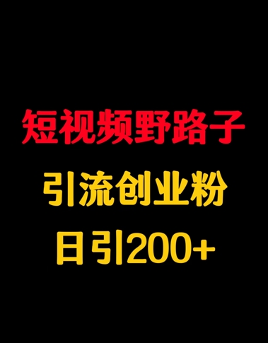 短视频野路子引流创业粉，日引200+-小何资源库