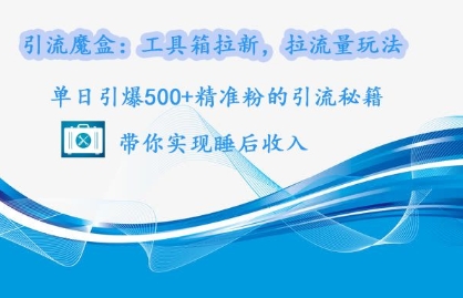 引流魔盒：工具箱拉新，拉流量玩法，单日引爆500+精准粉的引流秘籍-小何资源库