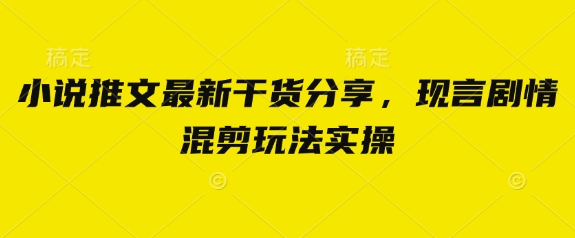 小说推文最新干货分享，现言剧情混剪玩法实操-小何资源库