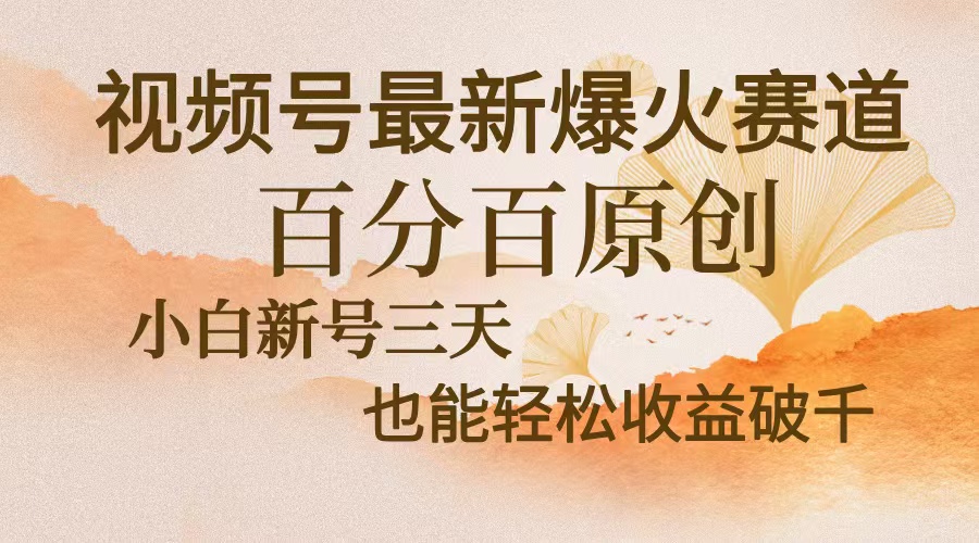 （13225期）视频号最新爆火赛道，中老年粉深信不疑，百分百原创，新号三天收益轻松…-小何资源库