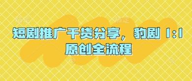 短剧推广干货分享，豹剧 1:1原创全流程-小何资源库
