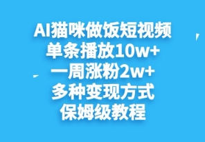 AI猫咪做饭短视频，单条播放10w+，一周涨分2w+，多种变现方式，保姆级教程-小何资源库