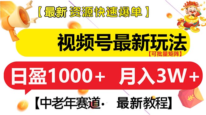 （13530期）视频号最新玩法 中老年赛道 月入3W+-小何资源库