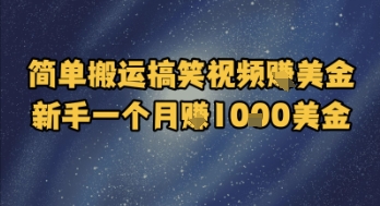 简单搬运搞笑视频挣美金，新手一个月入1k美金-小何资源库
