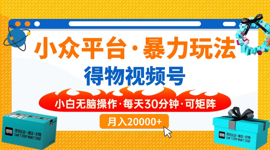 （14194期）小众平台暴力玩法，一键搬运爆款视频，可矩阵小白无脑操作，每天30分钟…-小何资源库
