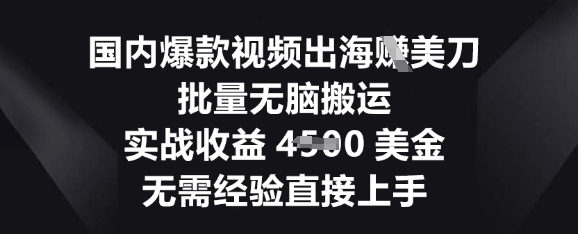 国内爆款视频出海挣美刀，批量无脑搬运，实战收益4.5k，无需经验直接上手-小何资源库