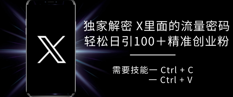 独家解密 X 里面的流量密码，复制粘贴轻松日引100+-小何资源库