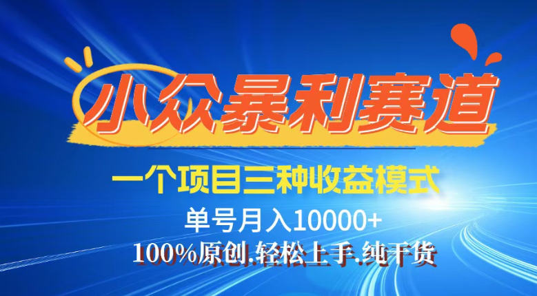 （14300期）【灵狐计划】视频号最新爆火赛道，三种收益模式，0粉新号条条热门原创…-小何资源库