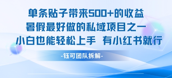 单条贴子带来5张的收益，暑假最好做的私域项目之一，小白也能轻松上手，有小红书就行-小何资源库