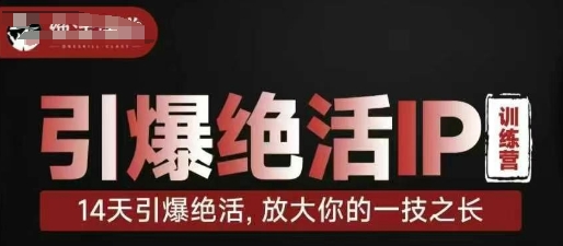 引爆绝活IP训练营，14天引爆绝活，放大你的一技之长-小何资源库