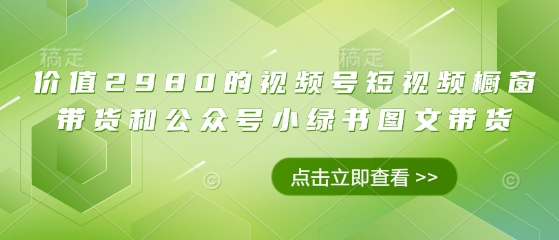 价值2980的视频号短视频橱窗带货和公众号小绿书图文带货-小何资源库