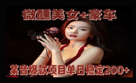 微醺美女+豪车，抖音爆款项目单日稳定2张+-小何资源库