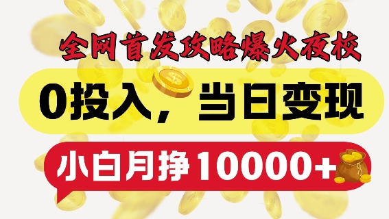 全网首发爆火夜校，0投入，当日变现，小白轻松月入1w+【揭秘】-小何资源库