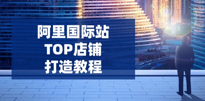 （14269期）阿里国际站TOP店铺打造教程：涵盖平台到高阶，解决运营难题，提升询盘-小何资源库