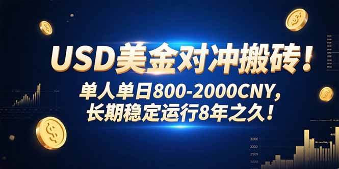 （15551期）USD美金对冲搬砖!单人单日800-2000CNY，长期稳定运行8年之久!-小何资源库
